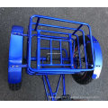 24 Inch 750W China Cargo Adult 3 Wheel Electric Tricycle